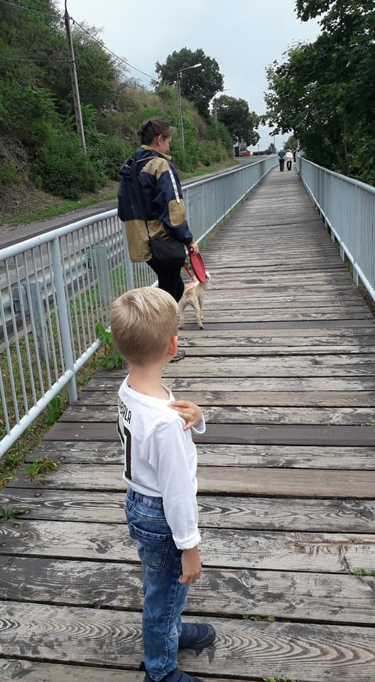 A Tettyéről a Havihegyre vezető fa pallókból kialakított sétány látható a képen. A sétány két oldalán szürke korlát, baloldalon az autóút, jobboldalt fák. A kép előterében nyolc év körüli fiú fehér felsőben, a kép készítőjének háttal, előtte sötét hajú nő széldzsekiben, kistestű kutyával.
