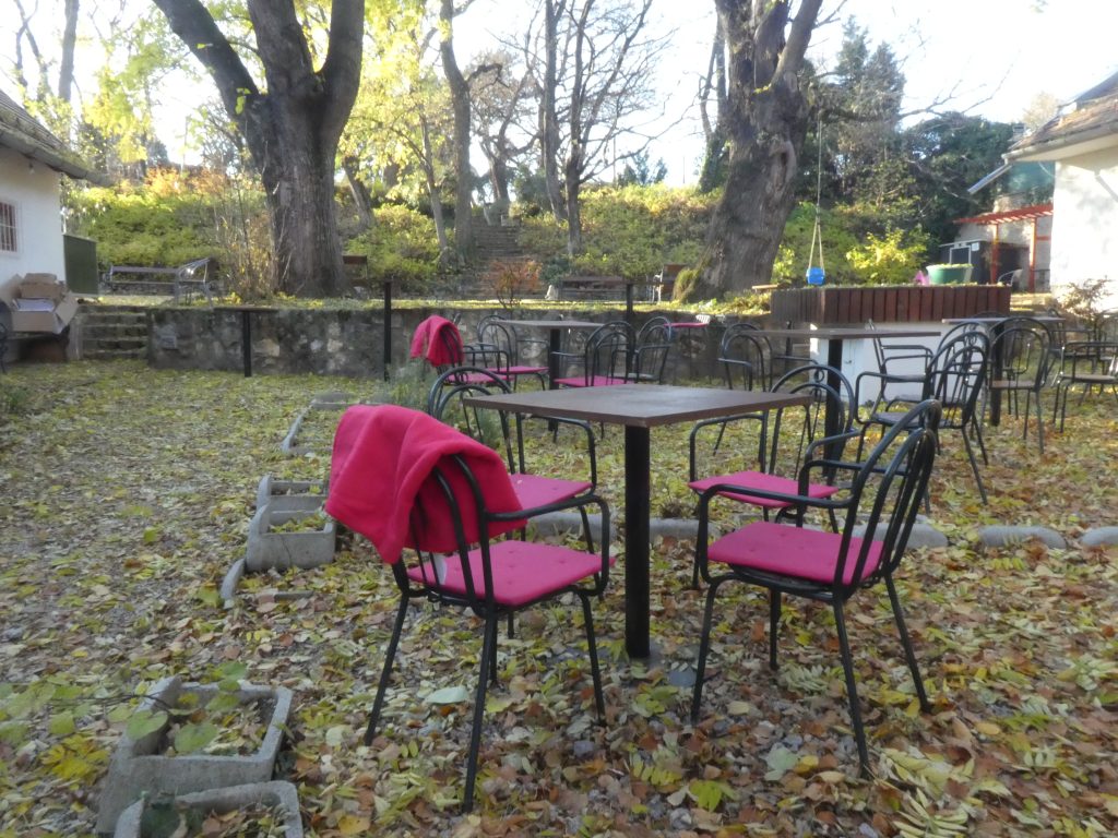 A park alsó részében, közvetlen a Civil Közösségek Háza konferenciaterme felől kijőve egy kávézó terasza található. Fém asztalok és székek kihelyezve egy kavicsos területre. Nagyon hangulatos, kellemes, fákkal körülvett kávézó, sajnos a kavicsok és kihelyezett beton virágtartók miatt nem akadálymentes, csak segítséggel igénybevehető látássérültek számára.
