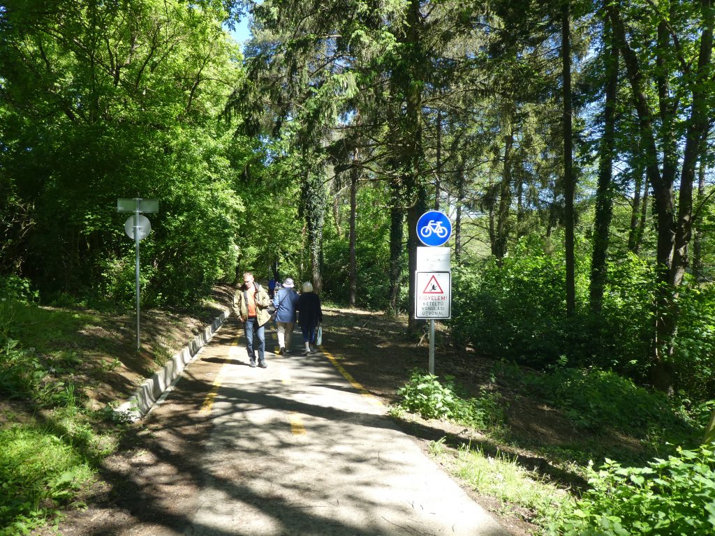 A bicikliúton jelzés, hogy ez ám egy bicikliút, illetve, hogy itt békák szoktak átvonulni. :)