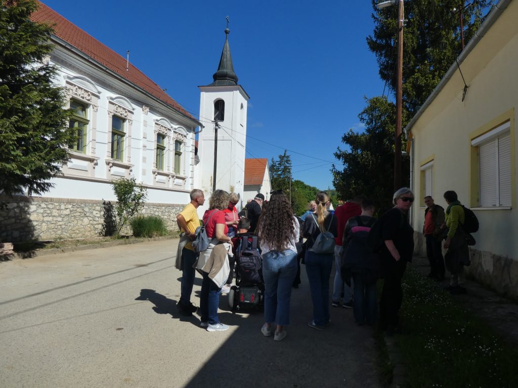 A faluban a harangláb előbb gyűlt össze a csapat egy része, Növényismertetőt hallgatunk, kóstolgatunk. 