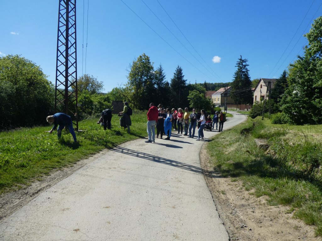 A falu végén vagyunk, már a bicikliút közelében. Sima úton a nagy csapat éppen a növényeket csodálja, sőt, kóstolgatja. 