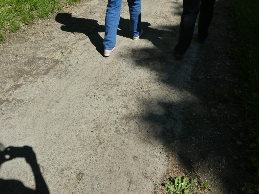 Közelről fotóztuk a kezdeti betonos utat, ez is sima, itt sincsenek gödrök, göröngyök. 