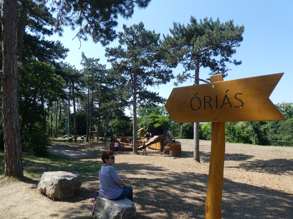 Az óriás feliratú fa tábla mögött már látszik is a hatalmas, fekvő óriás, mindenki kedvence. Kisebb völgyben fekszik, körülötte nagy szabad tér, néhány nagy fa. Körülötte a talaj földes, illetve mulcs-csal felszórt.
