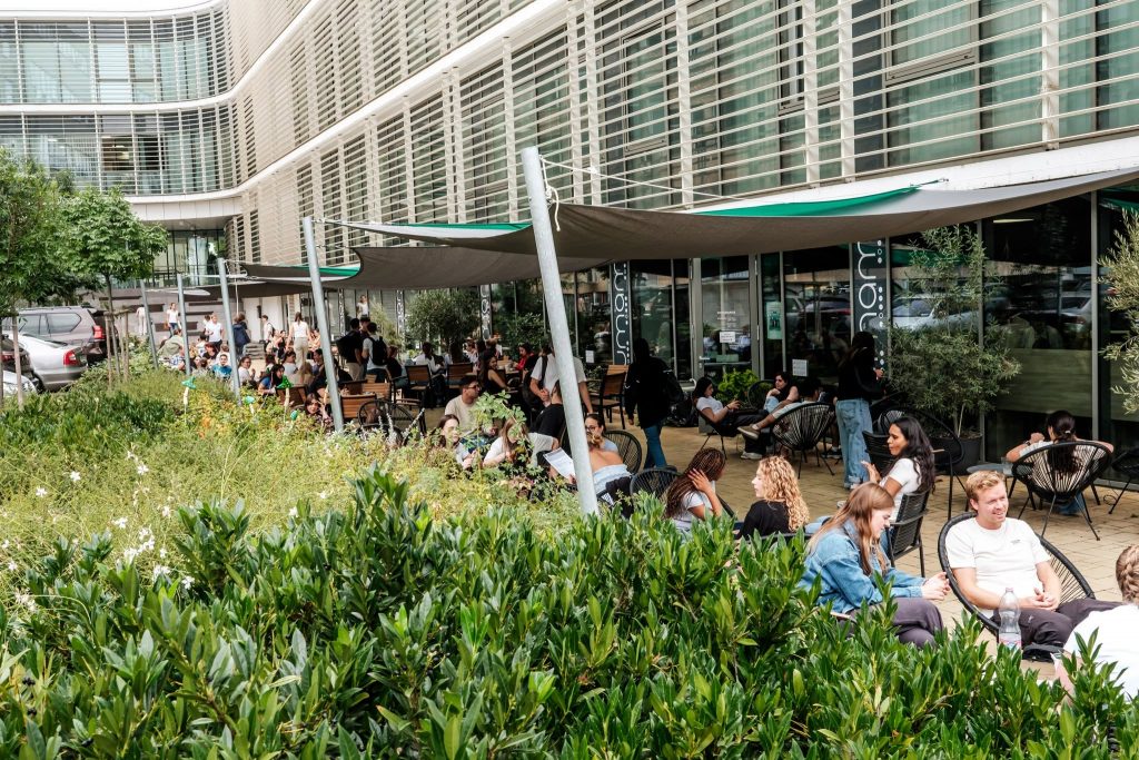 The Umami building and the terrace can be seen, with young people happily talking and eating under shade sails. In the foreground, beautiful green plants surround the outdoor seating area.